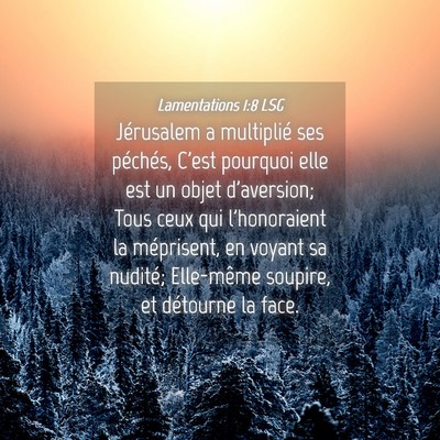 Picture 04 - Lamentations 1:8 LSG - Jérusalem a multiplié ses péchés, C'est - Bible Verse Picture