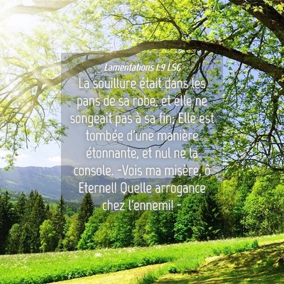 Picture 04 - Lamentations 1:9 LSG - La souillure était dans les pans de sa robe, et - Bible Verse Picture