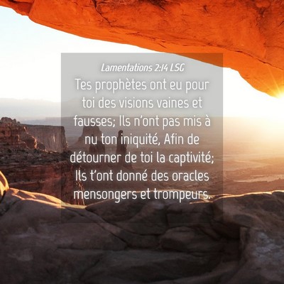 Picture 04 - Lamentations 2:14 LSG - Tes prophètes ont eu pour toi des visions vaines - Bible Verse Picture