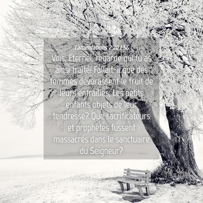 Picture 04 - Lamentations 2:20 LSG - Vois, Eternel, regarde qui tu as ainsi traité! - Bible Verse Picture