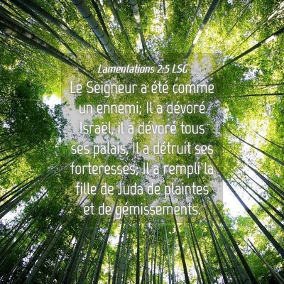 Picture 04 - Lamentations 2:5 LSG - Le Seigneur a été comme un ennemi; Il a - Bible Verse Picture