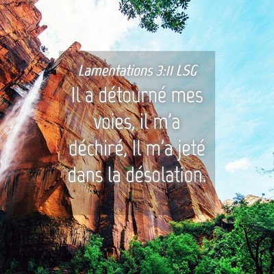 Picture 04 - Lamentations 3:11 LSG - Il a détourné mes voies, il m'a déchiré, Il - Bible Verse Picture