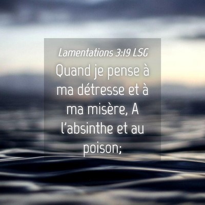 Picture 04 - Lamentations 3:19 LSG - Quand je pense à ma détresse et à ma misère, - Bible Verse Picture