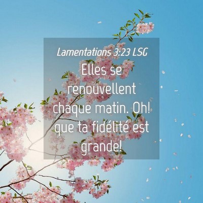 Picture 04 - Lamentations 3:23 LSG - Elles se renouvellent chaque matin. Oh! que ta - Bible Verse Picture
