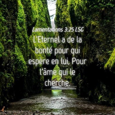 Picture 04 - Lamentations 3:25 LSG - L'Eternel a de la bonté pour qui espère en lui, - Bible Verse Picture