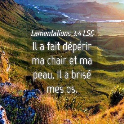 Picture 04 - Lamentations 3:4 LSG - Il a fait dépérir ma chair et ma peau, Il a - Bible Verse Picture