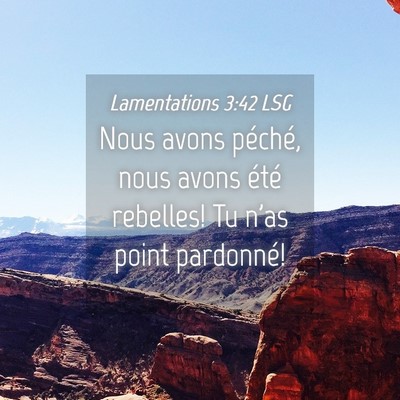 Picture 04 - Lamentations 3:42 LSG - Nous avons péché, nous avons été rebelles! Tu - Bible Verse Picture