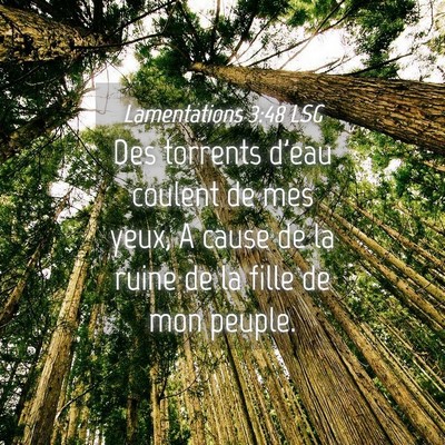 Picture 04 - Lamentations 3:48 LSG - Des torrents d'eau coulent de mes yeux, A cause - Bible Verse Picture