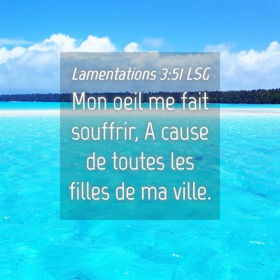 Picture 04 - Lamentations 3:51 LSG - Mon oeil me fait souffrir, A cause de toutes les - Bible Verse Picture