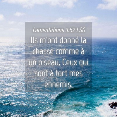 Picture 04 - Lamentations 3:52 LSG - Ils m'ont donné la chasse comme à un oiseau, - Bible Verse Picture