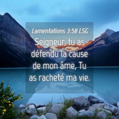 Picture 04 - Lamentations 3:58 LSG - Seigneur, tu as défendu la cause de mon âme, Tu - Bible Verse Picture
