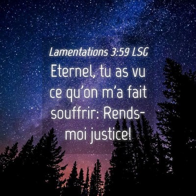 Picture 04 - Lamentations 3:59 LSG - Eternel, tu as vu ce qu'on m'a fait souffrir: - Bible Verse Picture