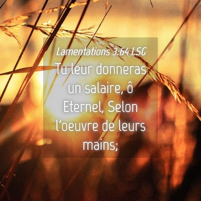 Picture 04 - Lamentations 3:64 LSG - Tu leur donneras un salaire, ô Eternel, Selon - Bible Verse Picture