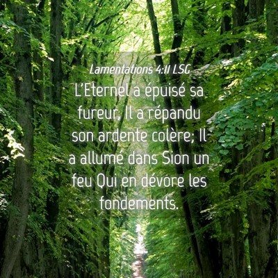 Picture 04 - Lamentations 4:11 LSG - L'Eternel a épuisé sa fureur, Il a répandu son - Bible Verse Picture