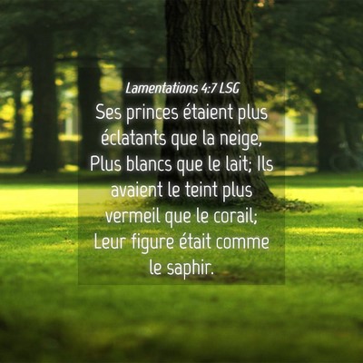 Picture 04 - Lamentations 4:7 LSG - Ses princes étaient plus éclatants que la - Bible Verse Picture