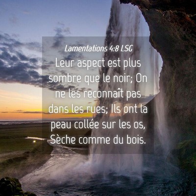Picture 04 - Lamentations 4:8 LSG - Leur aspect est plus sombre que le noir; On ne - Bible Verse Picture