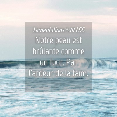 Picture 04 - Lamentations 5:10 LSG - Notre peau est brûlante comme un four, Par - Bible Verse Picture