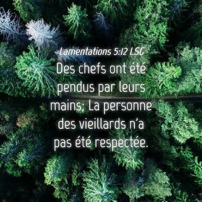 Picture 04 - Lamentations 5:12 LSG - Des chefs ont été pendus par leurs mains; La - Bible Verse Picture