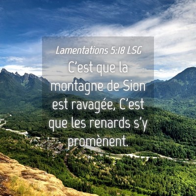Picture 04 - Lamentations 5:18 LSG - C'est que la montagne de Sion est ravagée, C'est - Bible Verse Picture