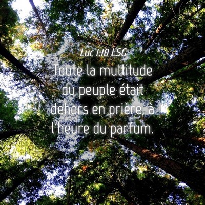 Picture 04 - Luc 1:10 LSG - Toute la multitude du peuple était dehors en - Bible Verse Picture