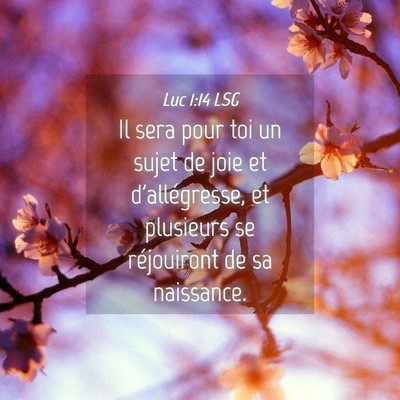 Picture 04 - Luc 1:14 LSG - Il sera pour toi un sujet de joie et - Bible Verse Picture