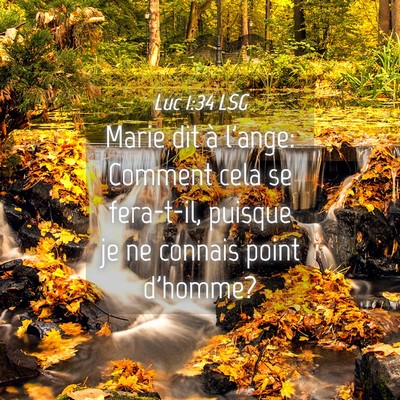 Picture 04 - Luc 1:34 LSG - Marie dit à l'ange: Comment cela se fera-t-il, - Bible Verse Picture