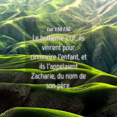 Picture 04 - Luc 1:59 LSG - Le huitième jour, ils vinrent pour circoncire - Bible Verse Picture