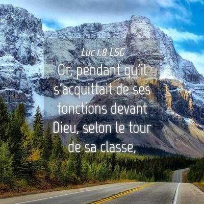 Picture 04 - Luc 1:8 LSG - Or, pendant qu'il s'acquittait de ses fonctions - Bible Verse Picture