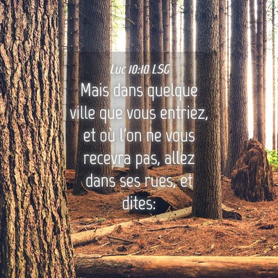 Picture 04 - Luc 10:10 LSG - Mais dans quelque ville que vous entriez, et où - Bible Verse Picture