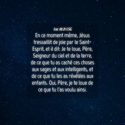 Picture 04 - Luc 10:21 LSG - En ce moment même, Jésus tressaillit de joie - Bible Verse Picture