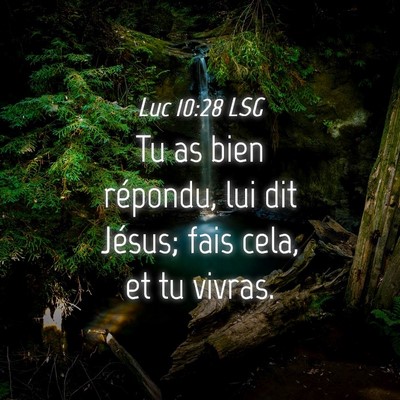 Picture 04 - Luc 10:28 LSG - Tu as bien répondu, lui dit Jésus; fais cela, - Bible Verse Picture