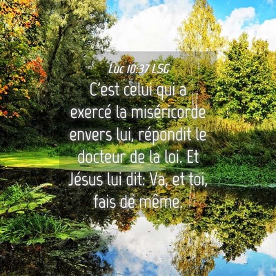 Picture 04 - Luc 10:37 LSG - C'est celui qui a exercé la miséricorde envers - Bible Verse Picture