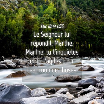 Picture 04 - Luc 10:41 LSG - Le Seigneur lui répondit: Marthe, Marthe, tu - Bible Verse Picture