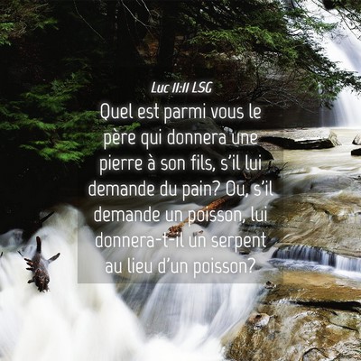 Picture 04 - Luc 11:11 LSG - Quel est parmi vous le père qui donnera une - Bible Verse Picture