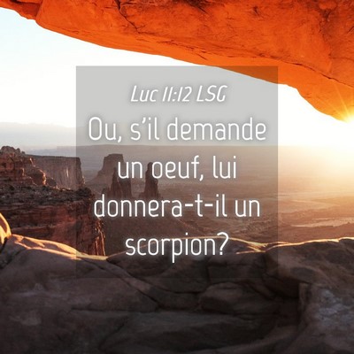 Picture 04 - Luc 11:12 LSG - Ou, s'il demande un oeuf, lui donnera-t-il un - Bible Verse Picture