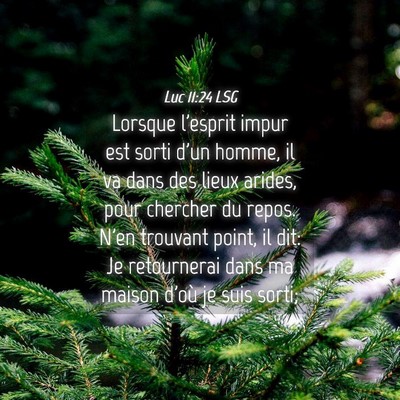 Picture 04 - Luc 11:24 LSG - Lorsque l'esprit impur est sorti d'un homme, il - Bible Verse Picture