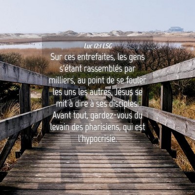 Picture 04 - Luc 12:1 LSG - Sur ces entrefaites, les gens s'étant - Bible Verse Picture