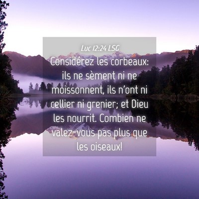 Picture 04 - Luc 12:24 LSG - Considérez les corbeaux: ils ne sèment ni ne - Bible Verse Picture