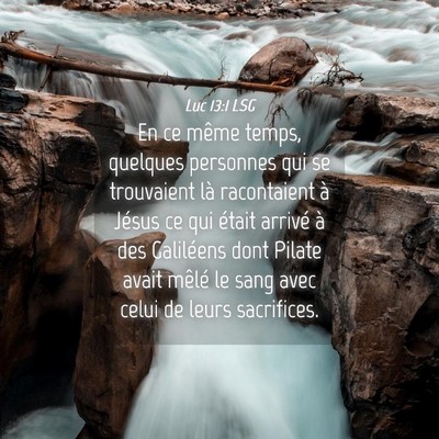 Picture 04 - Luc 13:1 LSG - En ce même temps, quelques personnes qui se - Bible Verse Picture