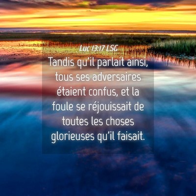 Picture 04 - Luc 13:17 LSG - Tandis qu'il parlait ainsi, tous ses adversaires - Bible Verse Picture