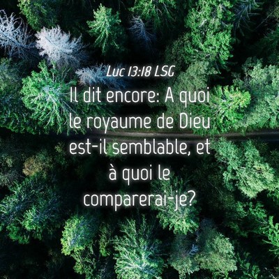 Picture 04 - Luc 13:18 LSG - Il dit encore: A quoi le royaume de Dieu est-il - Bible Verse Picture
