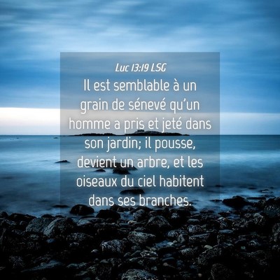 Picture 04 - Luc 13:19 LSG - Il est semblable à un grain de sénevé qu'un - Bible Verse Picture