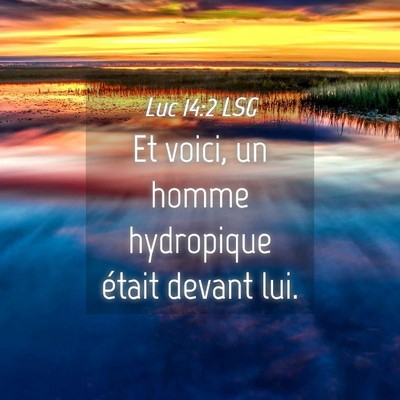 Picture 04 - Luc 14:2 LSG - Et voici, un homme hydropique était devant - Bible Verse Picture
