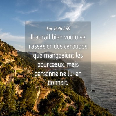 Picture 04 - Luc 15:16 LSG - Il aurait bien voulu se rassasier des carouges - Bible Verse Picture