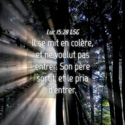 Picture 04 - Luc 15:28 LSG - Il se mit en colère, et ne voulut pas entrer. - Bible Verse Picture