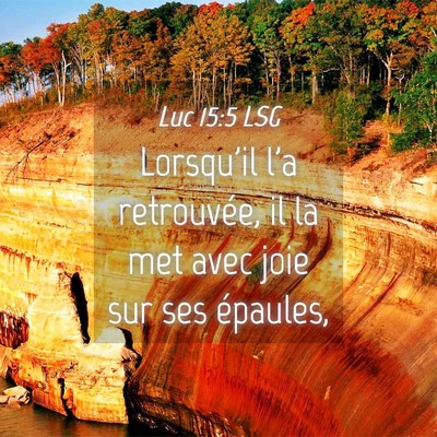 Picture 04 - Luc 15:5 LSG - Lorsqu'il l'a retrouvée, il la met avec joie sur - Bible Verse Picture