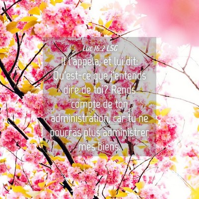 Picture 04 - Luc 16:2 LSG - Il l'appela, et lui dit: Qu'est-ce que j'entends - Bible Verse Picture