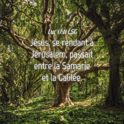Picture 04 - Luc 17:11 LSG - Jésus, se rendant à Jérusalem, passait entre - Bible Verse Picture