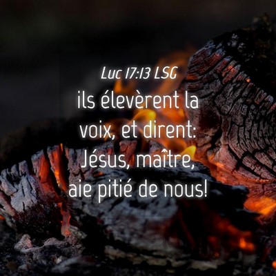 Picture 04 - Luc 17:13 LSG - ils élevèrent la voix, et dirent: Jésus, - Bible Verse Picture