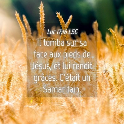 Picture 04 - Luc 17:16 LSG - Il tomba sur sa face aux pieds de Jésus, et lui - Bible Verse Picture
